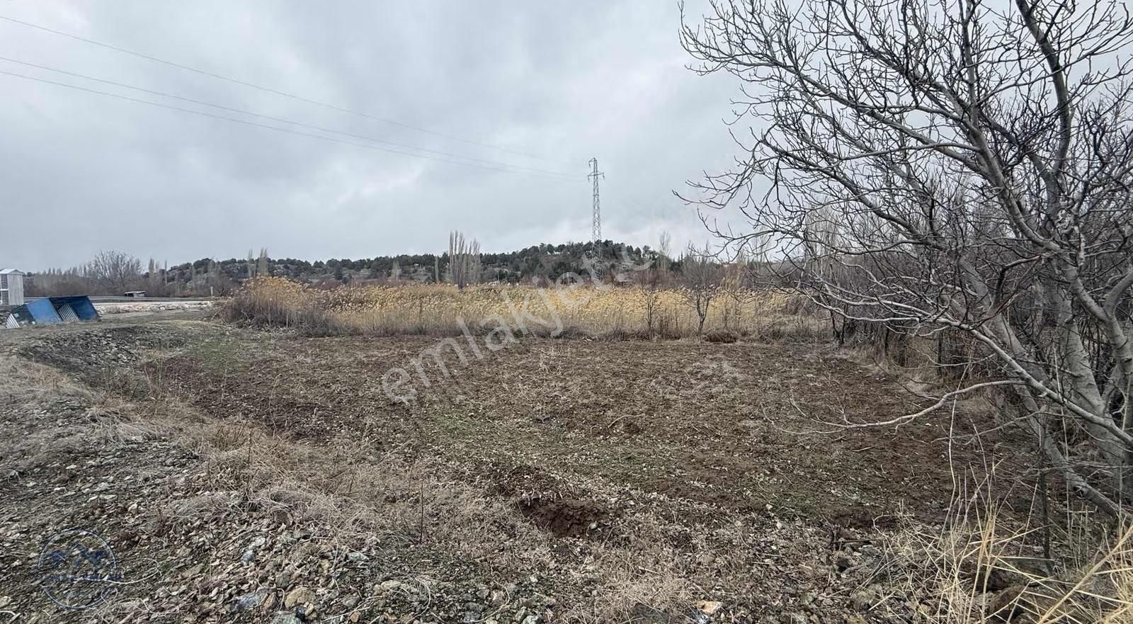 Beyşehirde Köşebaşı Satılık Tarla - Görsel 7