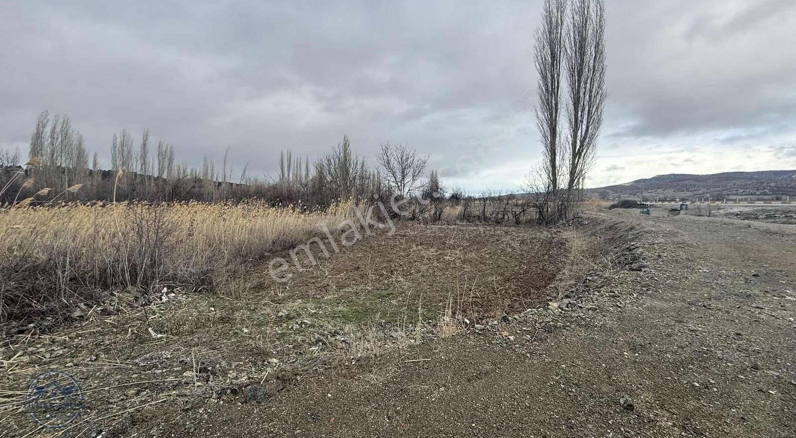 Beyşehirde Köşebaşı Satılık Tarla - Görsel 6