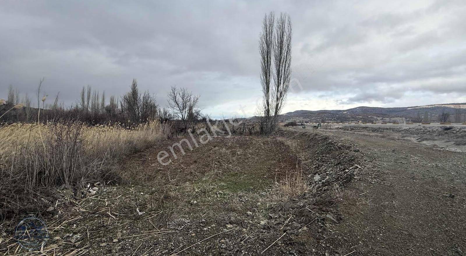 Beyşehirde Köşebaşı Satılık Tarla - Görsel 3