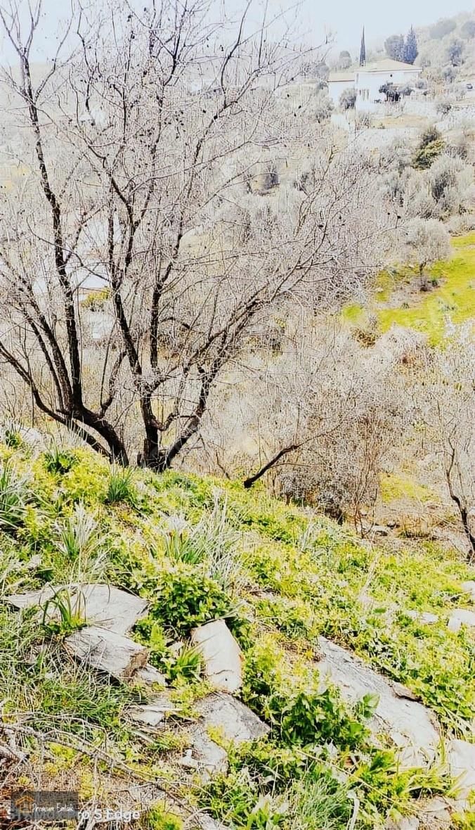 Bodrum/kemikler'de Ruhsat Alımış 685 Mt2 İmarlı Yatırımlık Arsa. - Görsel 19