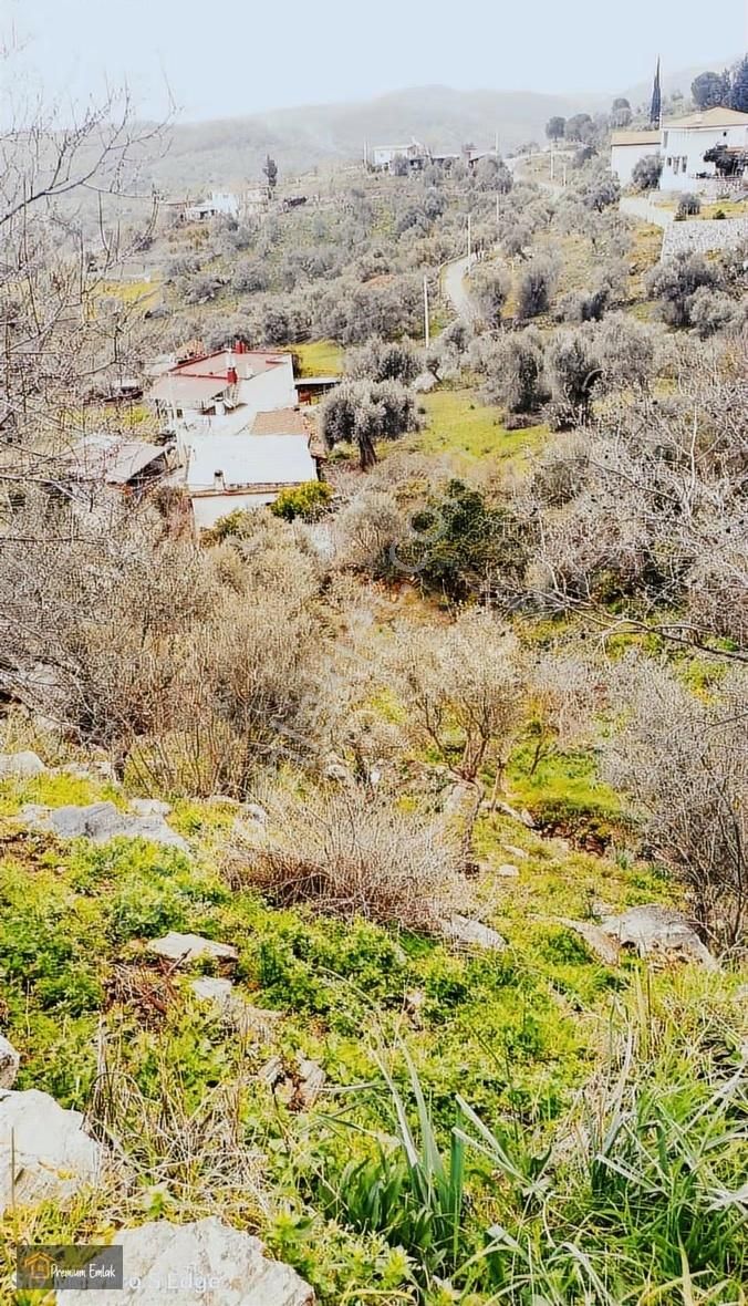 Bodrum/kemikler'de Ruhsat Alımış 685 Mt2 İmarlı Yatırımlık Arsa. - Görsel 11