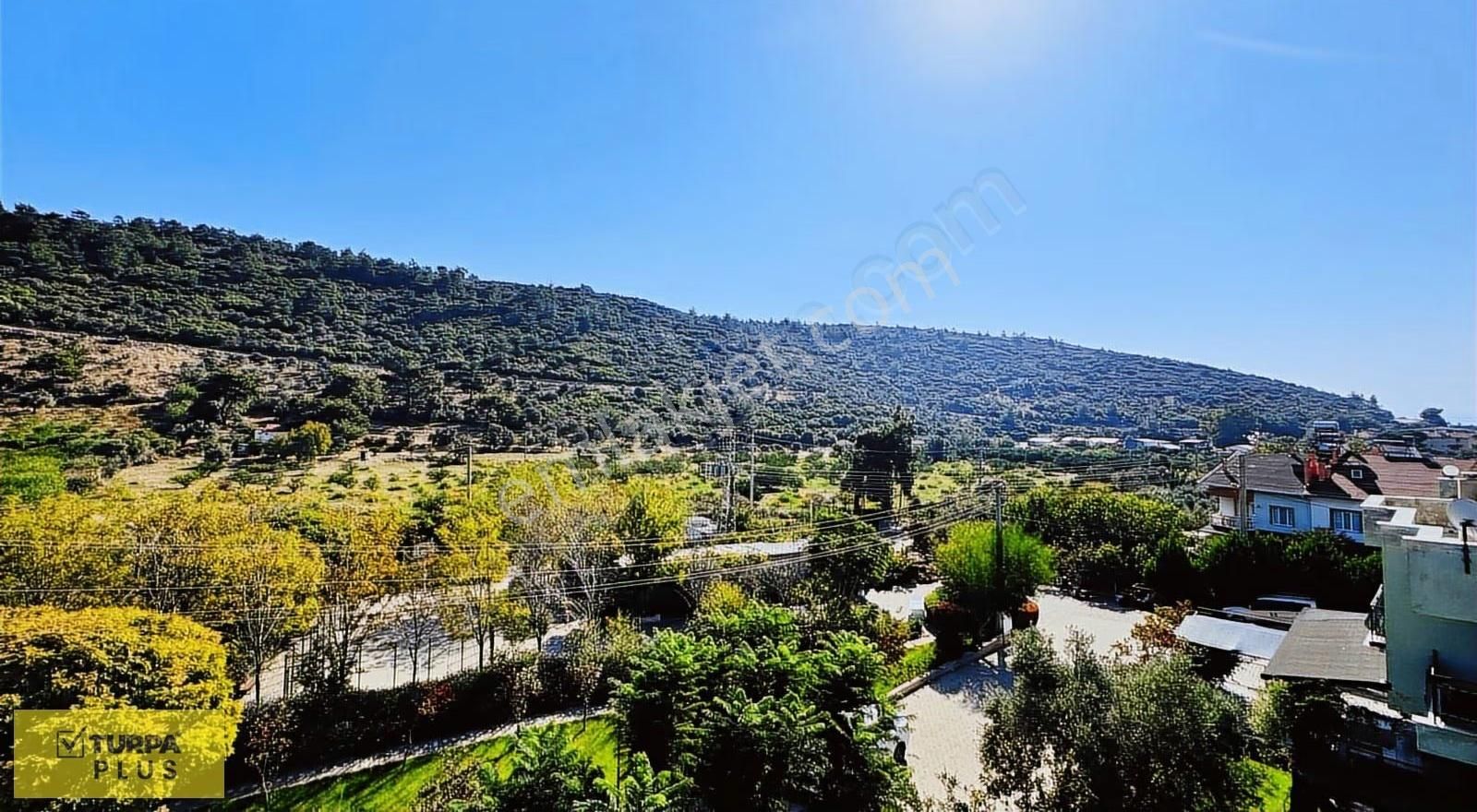 Özdere Ahmetbeyli Maydonoz Koyu Denize 900 M Satılık Villa - Görsel 7