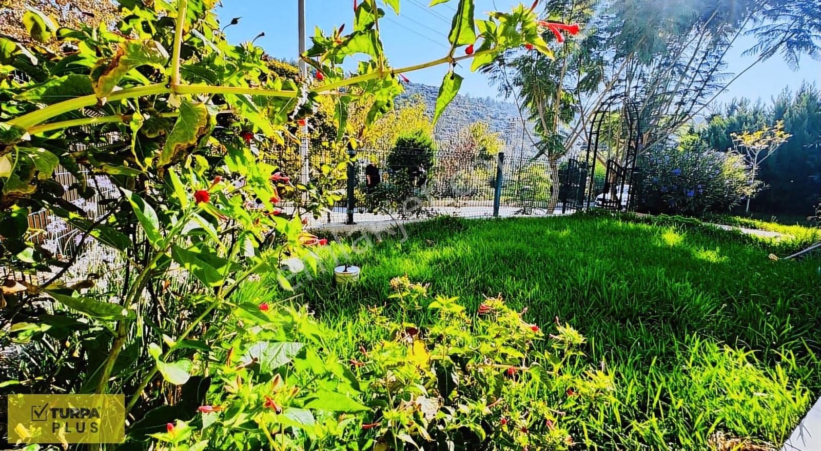 Özdere Ahmetbeyli Maydonoz Koyu Denize 900 M Satılık Villa - Görsel 16