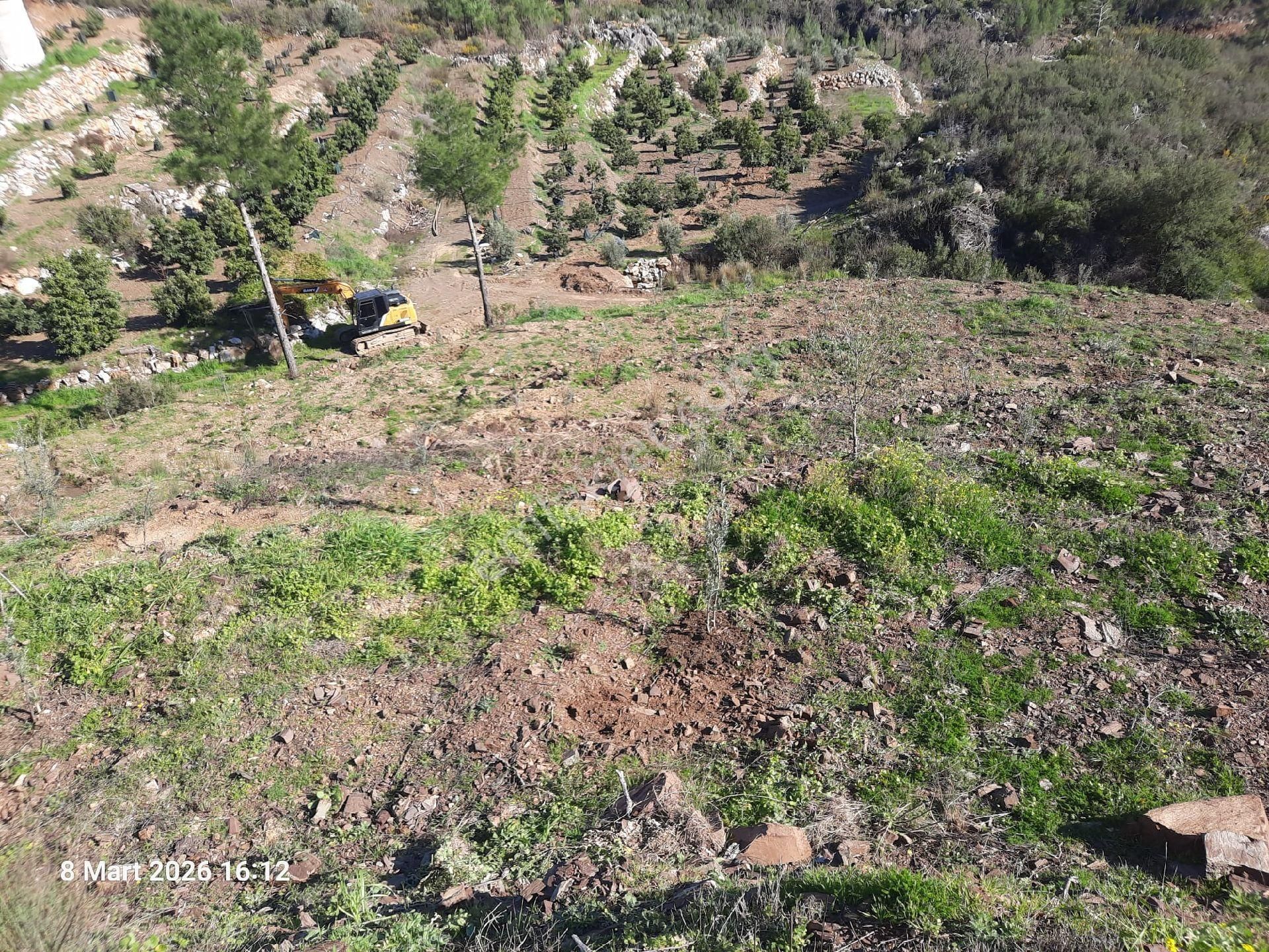 2825 M² İçinde Zeytin Ve Portakal Fidanları Olan Yer - Görsel 11