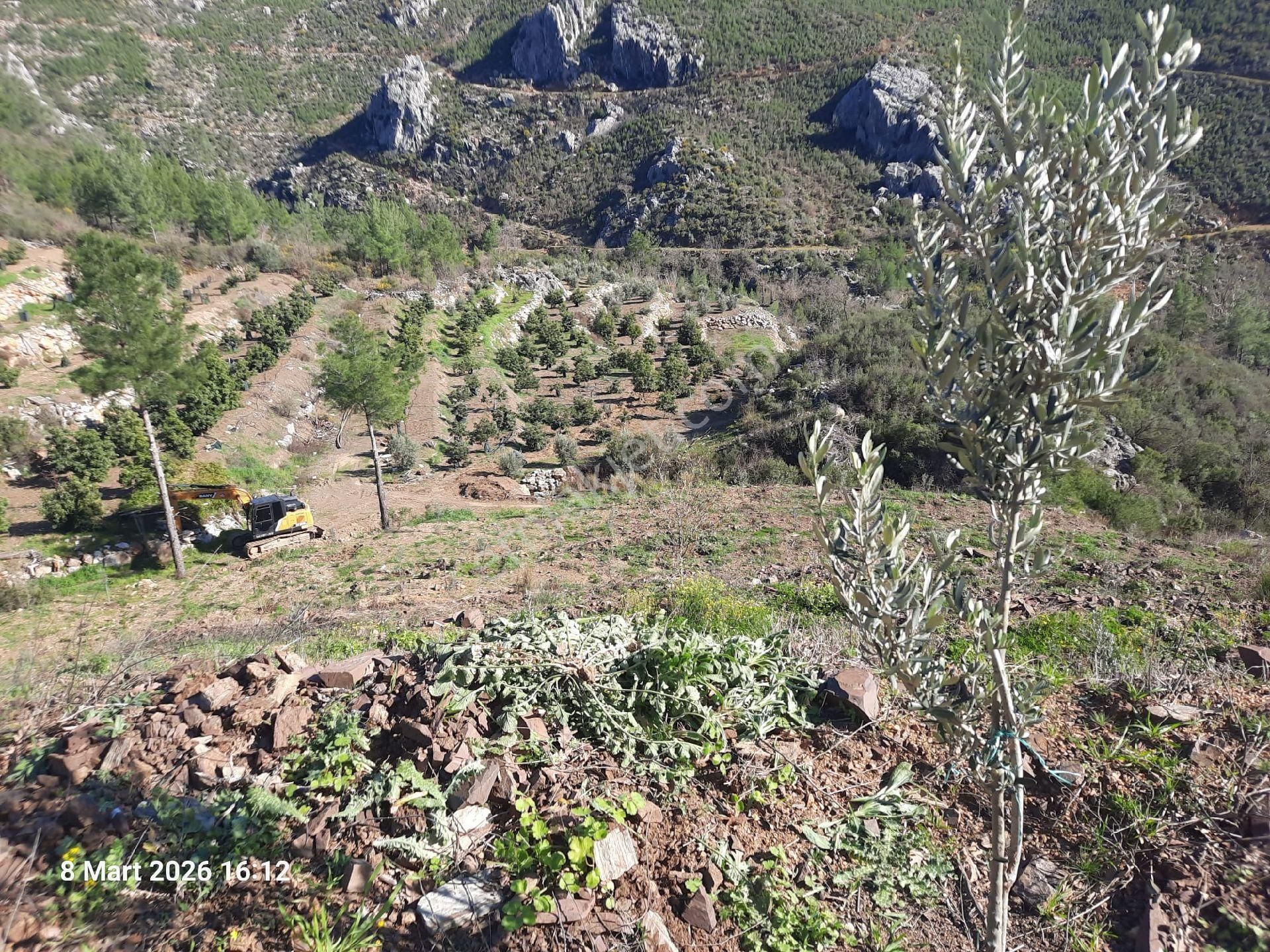 2825 M² İçinde Zeytin Ve Portakal Fidanları Olan Yer - Görsel 19