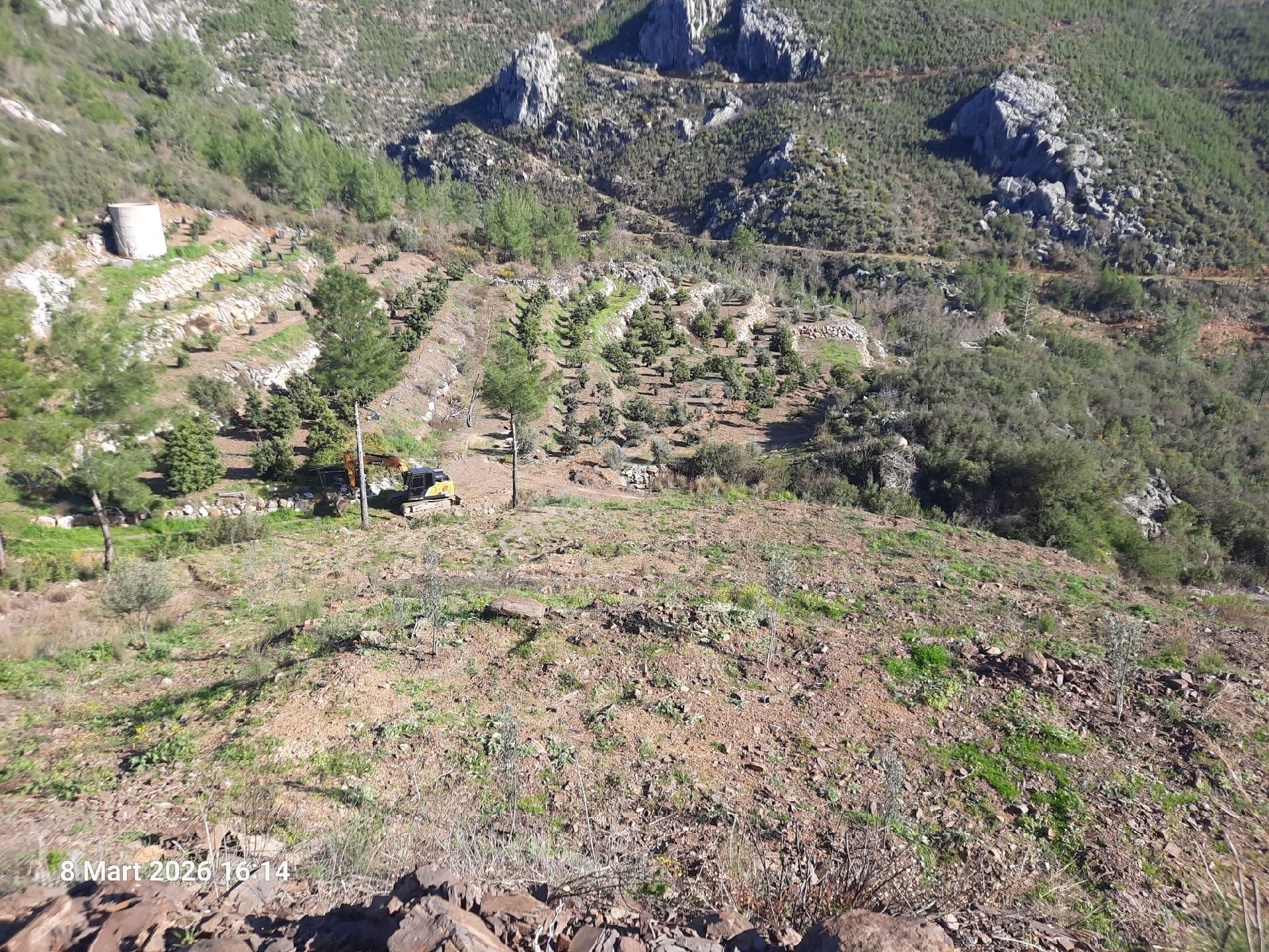 2825 M² İçinde Zeytin Ve Portakal Fidanları Olan Yer - Görsel 12