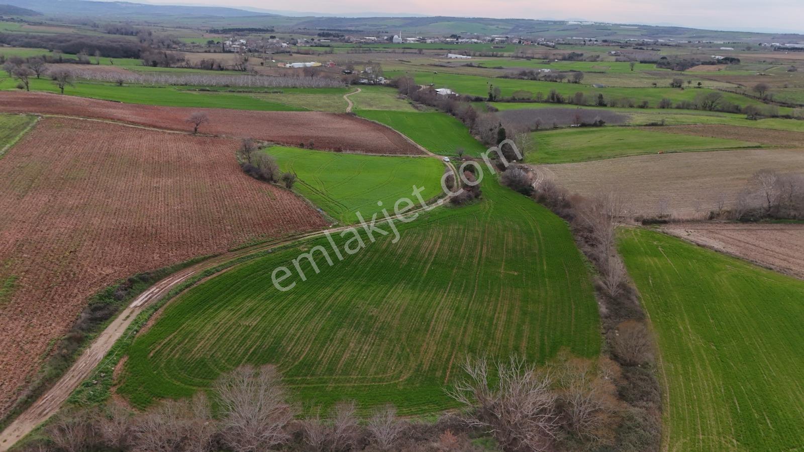 Expert'ten Bandırma Dedeoba'da Satılık 8291 M² Tarla - Görsel 16