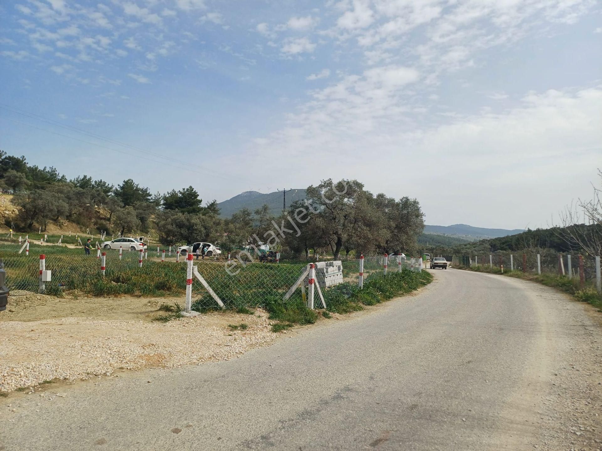 İzmir Kemalpaşa Vişnelide Satılık Tarla Hobi Bahçesi 224 M2 Anayola Sıfır Çift Cepheli - Görsel 6