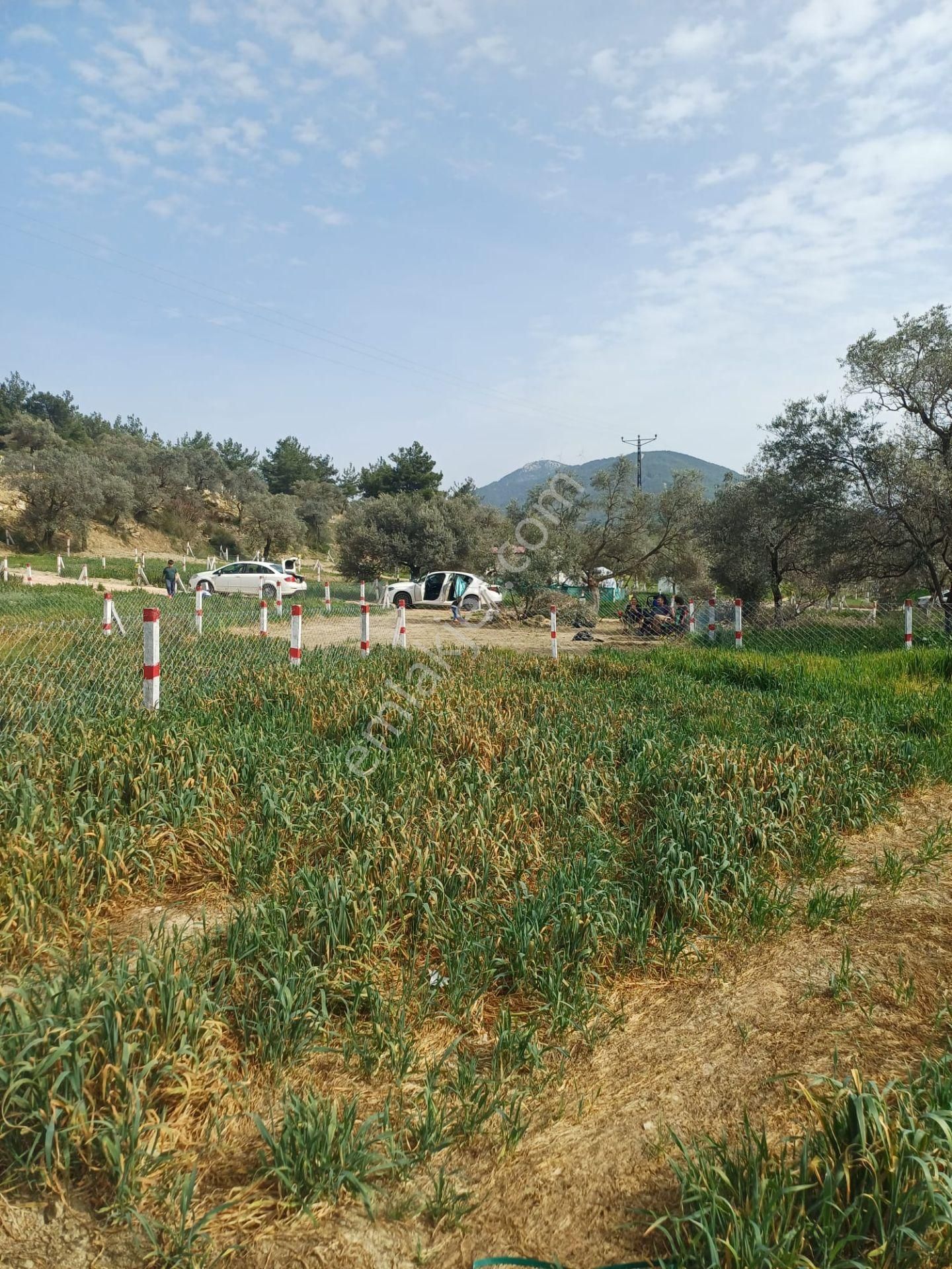 İzmir Kemalpaşa Vişnelide Satılık Tarla Hobi Bahçesi 224 M2 Anayola Sıfır Çift Cepheli - Görsel 5