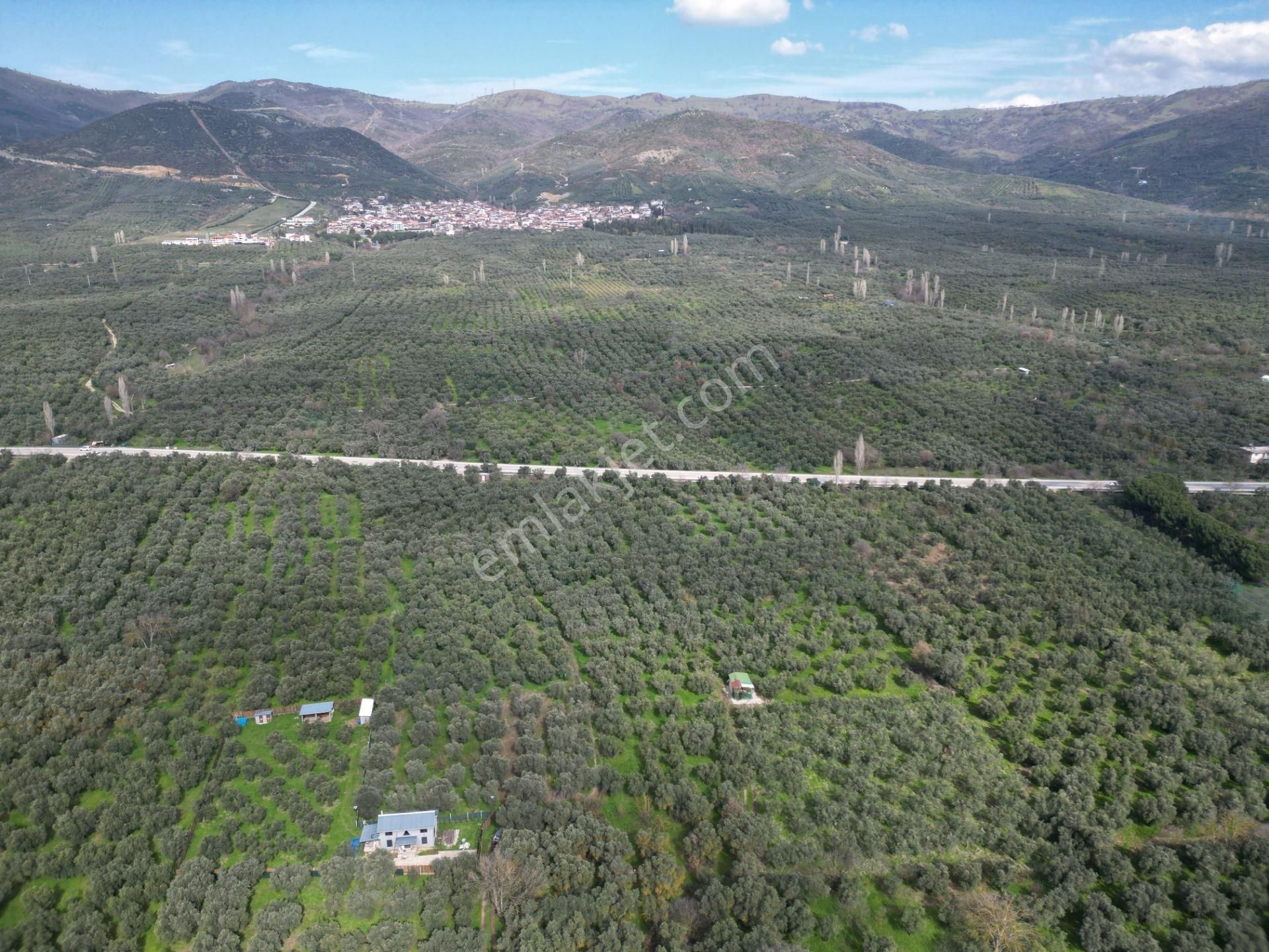 Bursa Orhangazi Çakırlı Mahallesi Satılık Hobi Bahçesi - Görsel 7