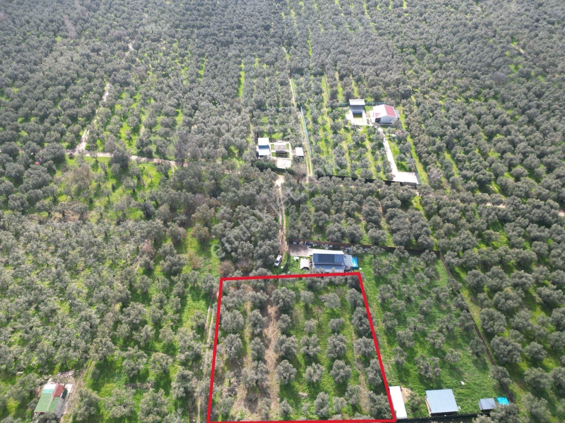 Bursa Orhangazi Çakırlı Mahallesi Satılık Hobi Bahçesi - Görsel 10