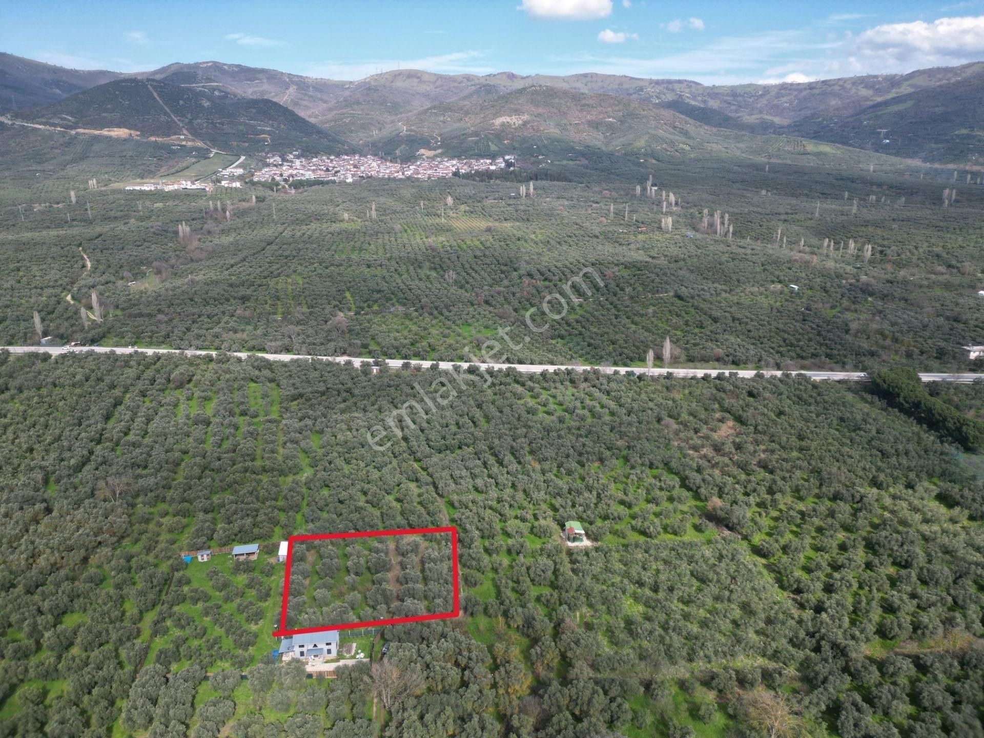 Bursa Orhangazi Çakırlı Mahallesi Satılık Hobi Bahçesi