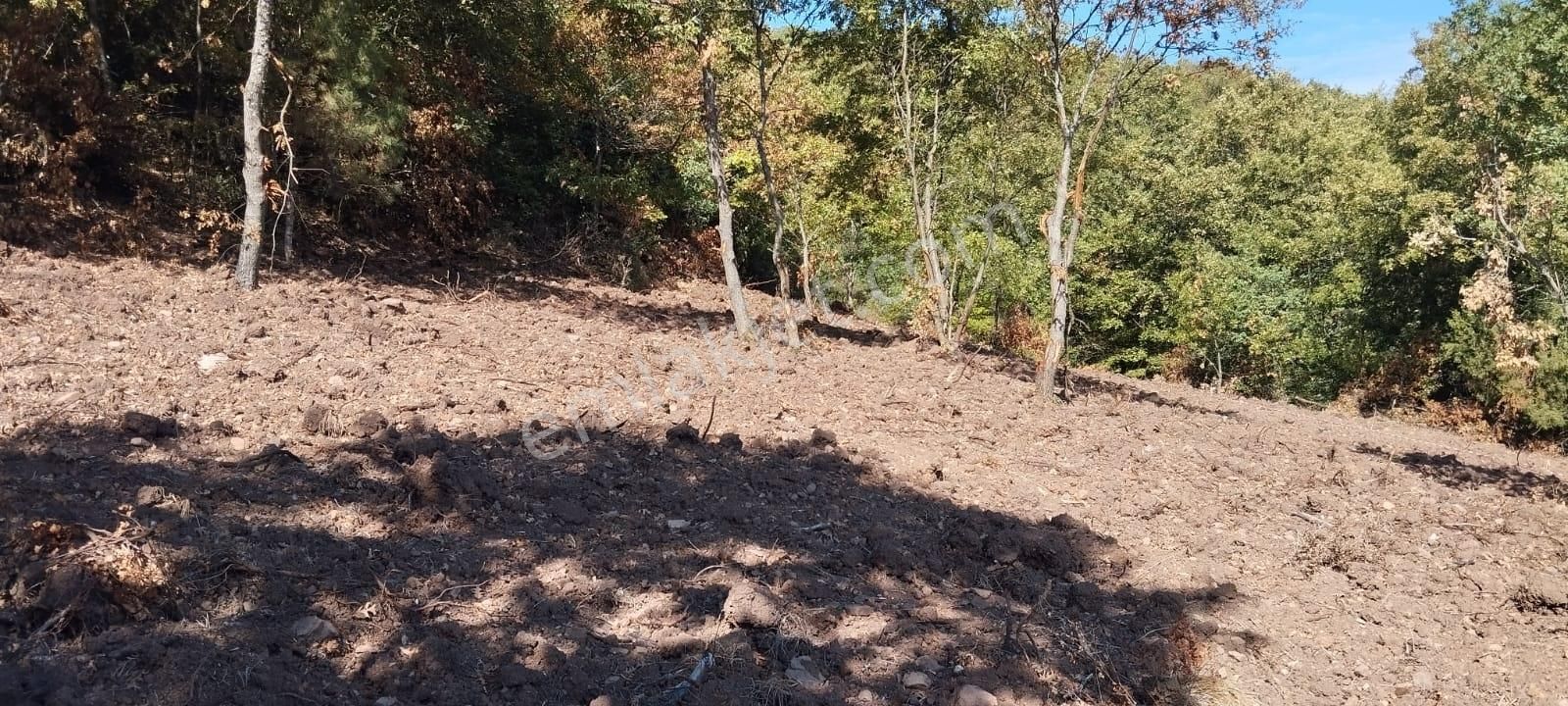 Pw Plus'tan Yenişehir Kozdere De Satılık Tarla