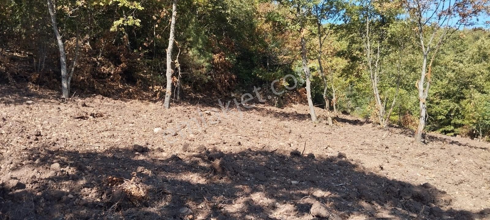 Pw Plus'tan Yenişehir Kozdere De Satılık Tarla - Görsel 4