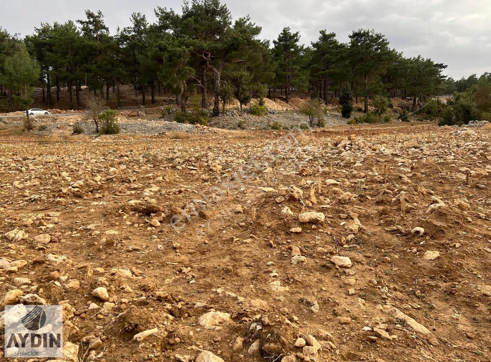 Aydın Satıyor'dan Silifke Balandızda 5.518 M2 Yola Cephe Tarla - Görsel 7