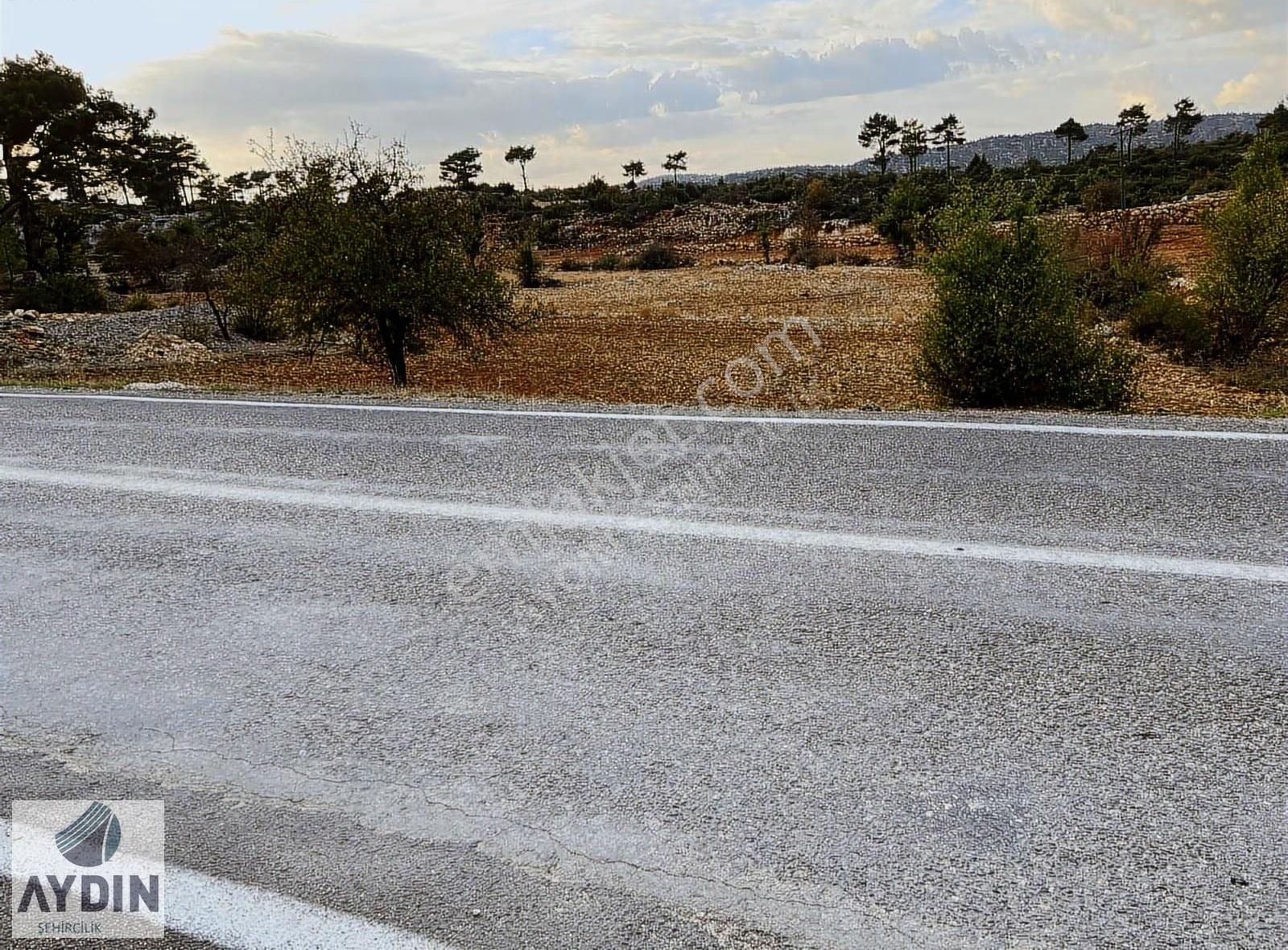 Aydın Satıyor'dan Silifke Balandızda 5.518 M2 Yola Cephe Tarla - Görsel 4
