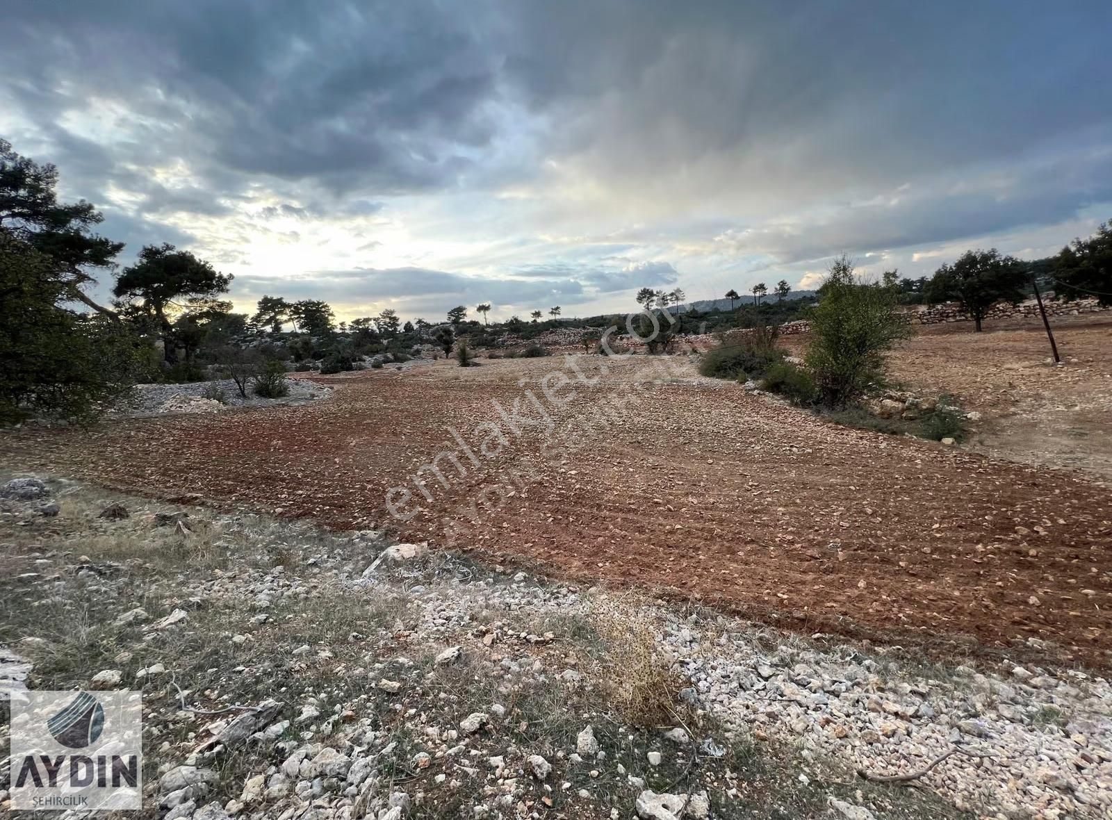 Aydın Satıyor'dan Silifke Balandızda 5.518 M2 Yola Cephe Tarla - Görsel 14