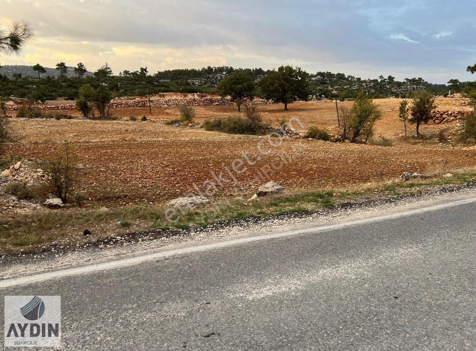 Aydın Satıyor'dan Silifke Balandızda 5.518 M2 Yola Cephe Tarla - Görsel 5