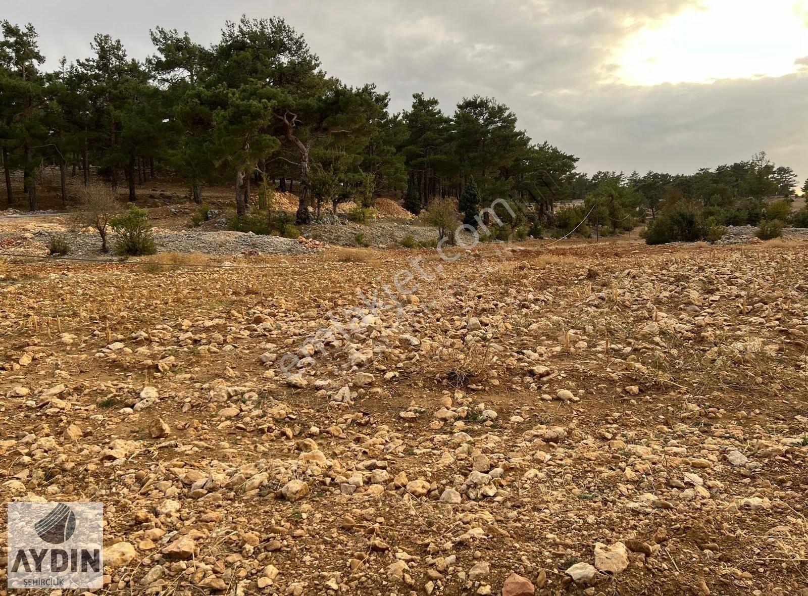 Aydın Satıyor'dan Silifke Balandızda 5.518 M2 Yola Cephe Tarla - Görsel 6