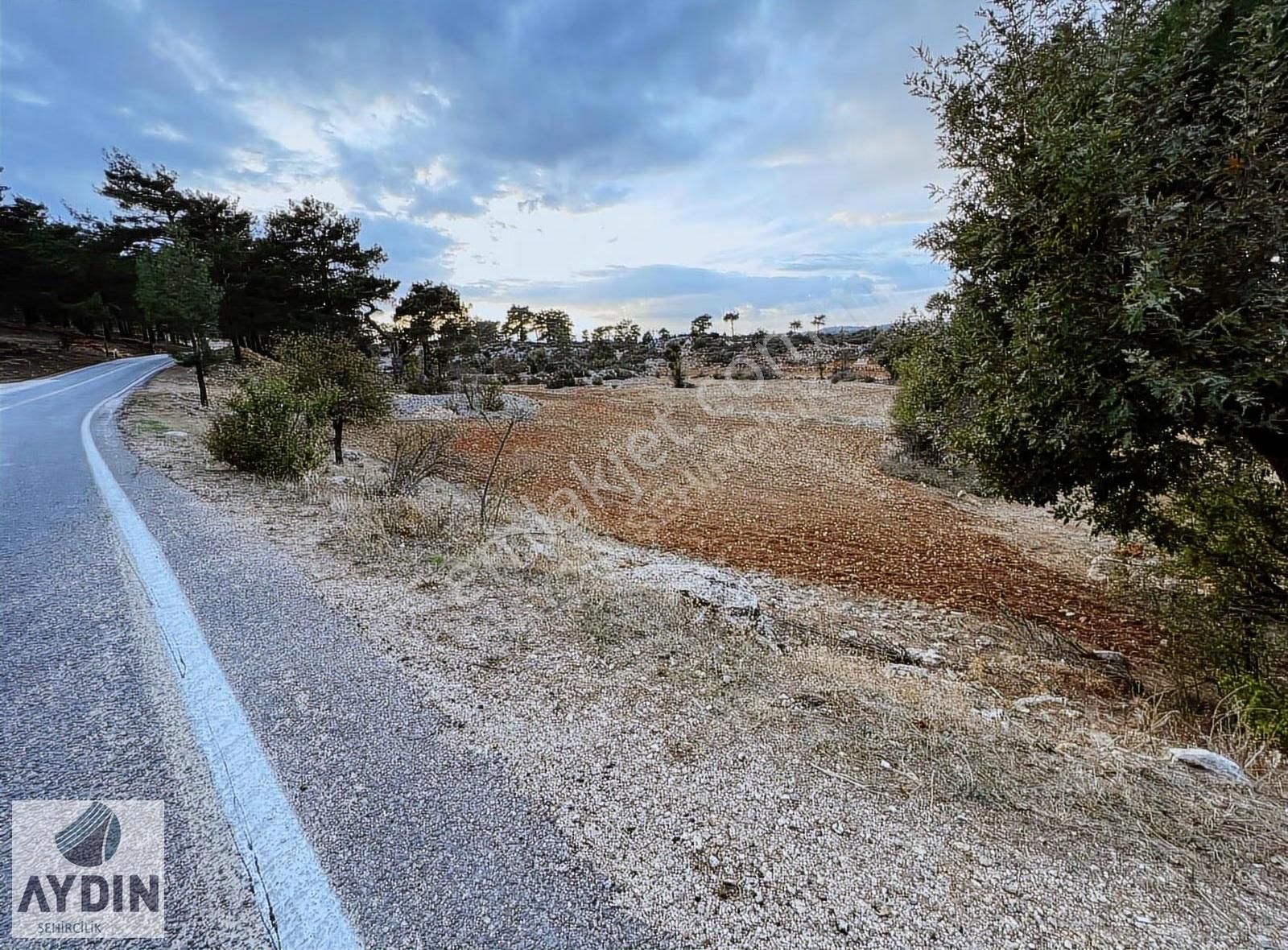 Aydın Satıyor'dan Silifke Balandızda 5.518 M2 Yola Cephe Tarla - Görsel 10