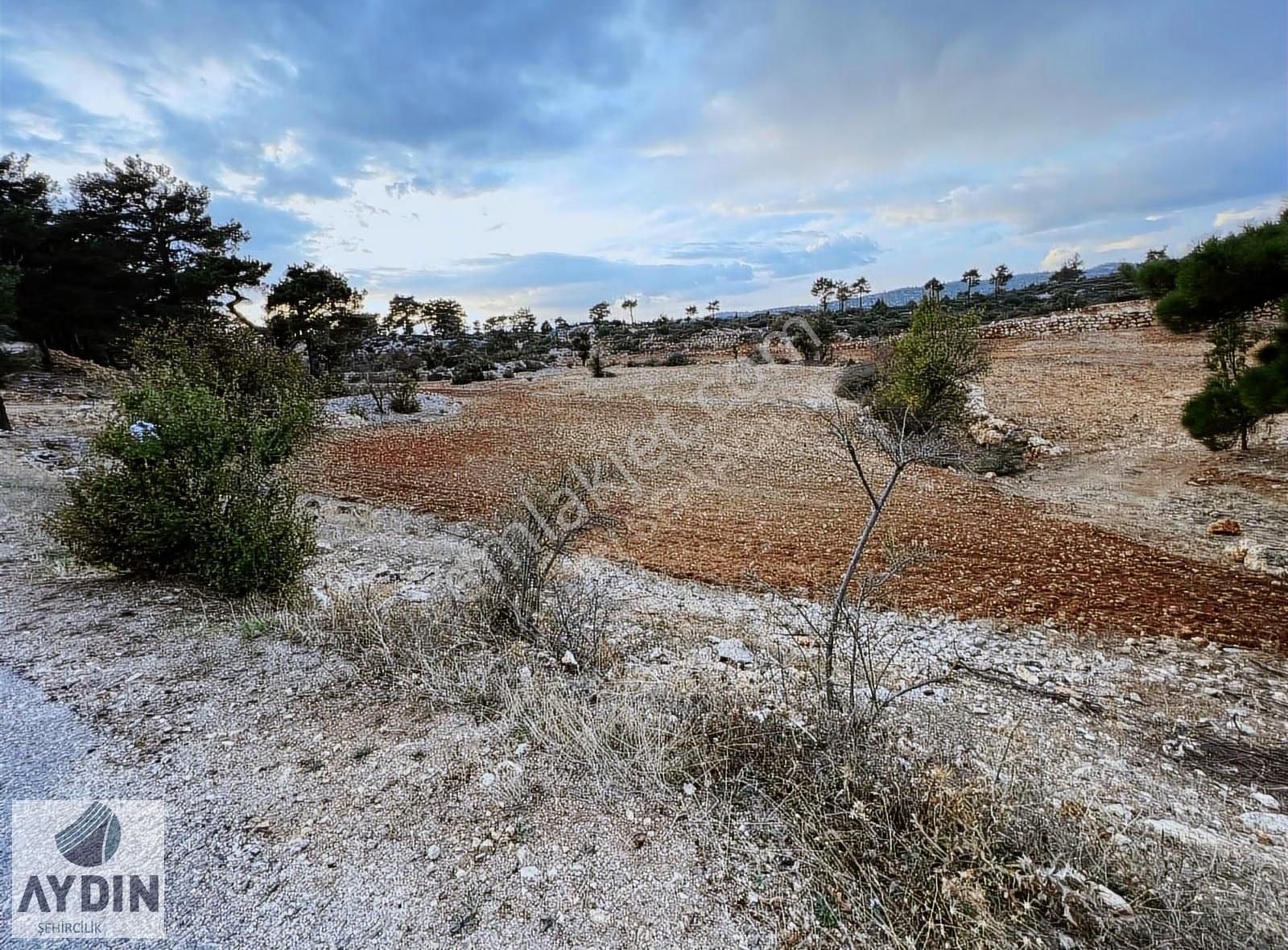 Aydın Satıyor'dan Silifke Balandızda 5.518 M2 Yola Cephe Tarla - Görsel 16