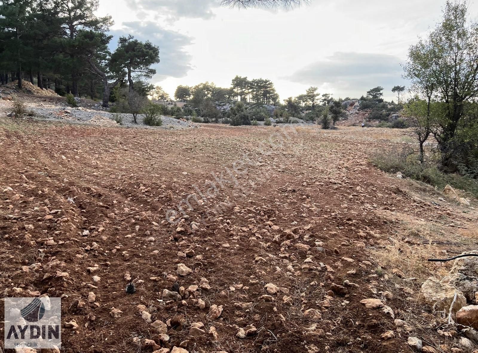 Aydın Satıyor'dan Silifke Balandızda 5.518 M2 Yola Cephe Tarla - Görsel 11