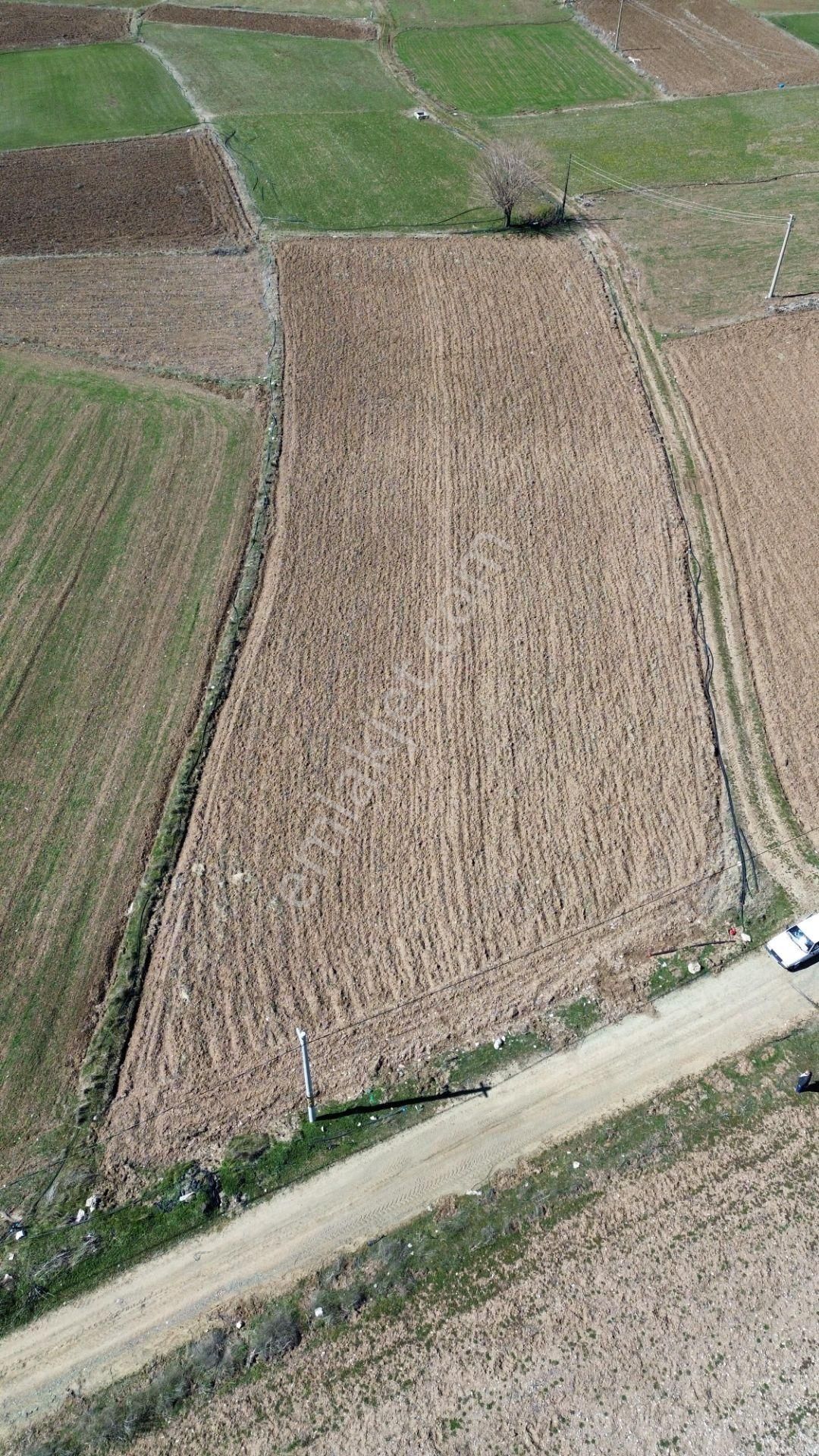 Muğla Seydikemer Doğanlar Köyünde Tarla - Görsel 2