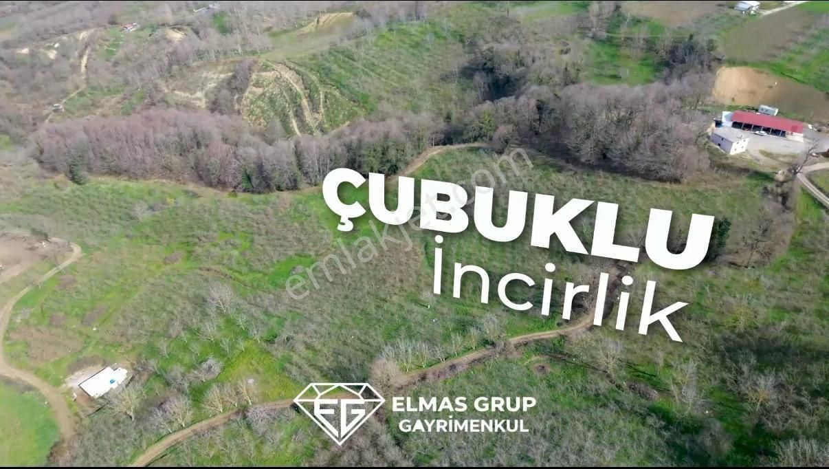 Serdivan Çubuklu'da 8.431 M² Satılık Fındık Bahçesi - Görsel 4