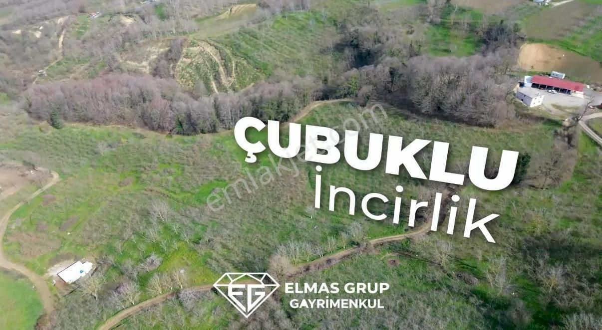 Serdivan Çubuklu'da 8.431 M² Satılık Fındık Bahçesi - Görsel 7