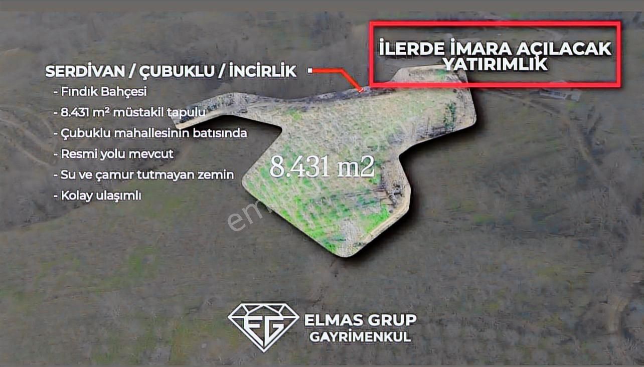 Serdivan Çubuklu'da 8.431 M² Satılık Fındık Bahçesi - Görsel 8