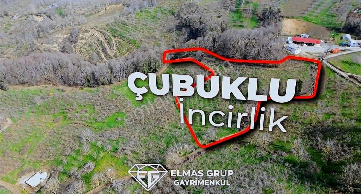 Serdivan Çubuklu'da 8.431 M² Satılık Fındık Bahçesi - Görsel 2