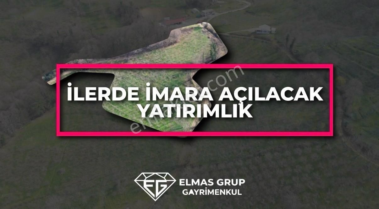 Serdivan Çubuklu'da 8.431 M² Satılık Fındık Bahçesi - Görsel 5