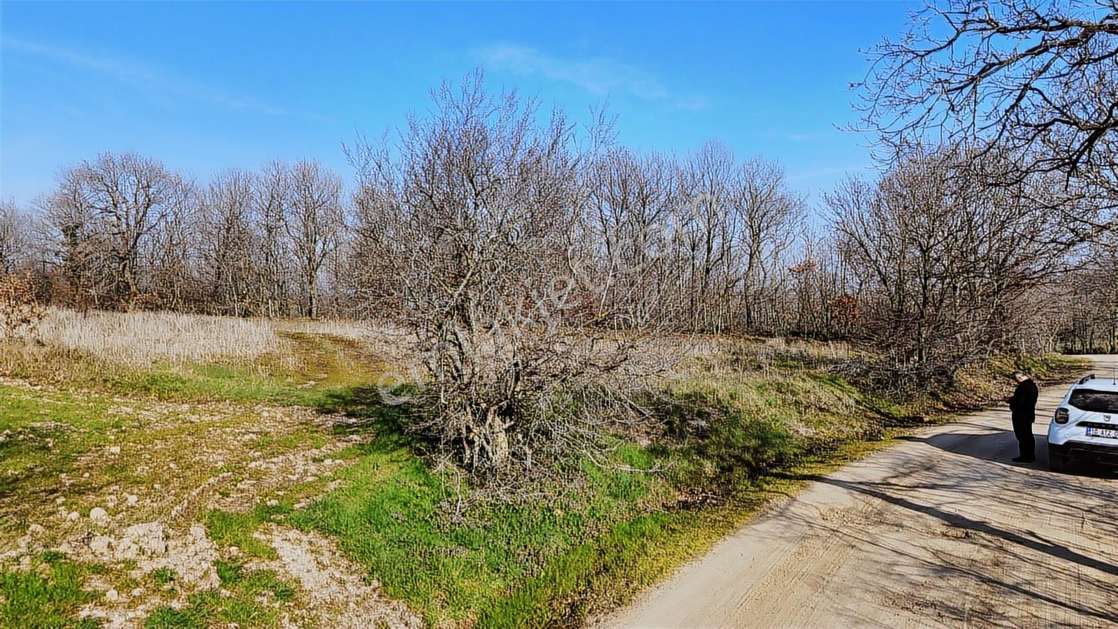 3.450 M² Satılık Tarla Hobi Bahçesi & Yatırımlık Gönene 10 Km - Görsel 8