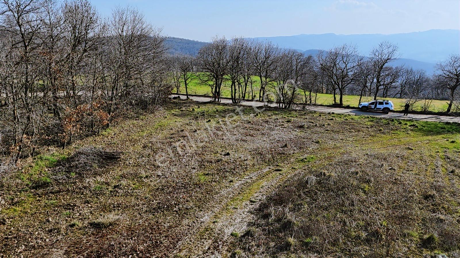 3.450 M² Satılık Tarla Hobi Bahçesi & Yatırımlık Gönene 10 Km - Görsel 5