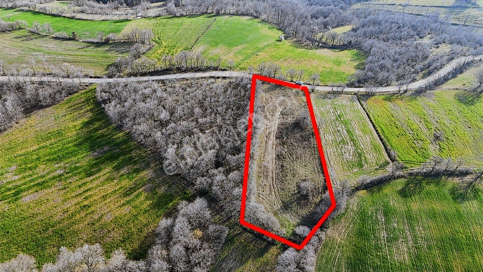 3.450 M² Satılık Tarla Hobi Bahçesi & Yatırımlık Gönene 10 Km - Görsel 13