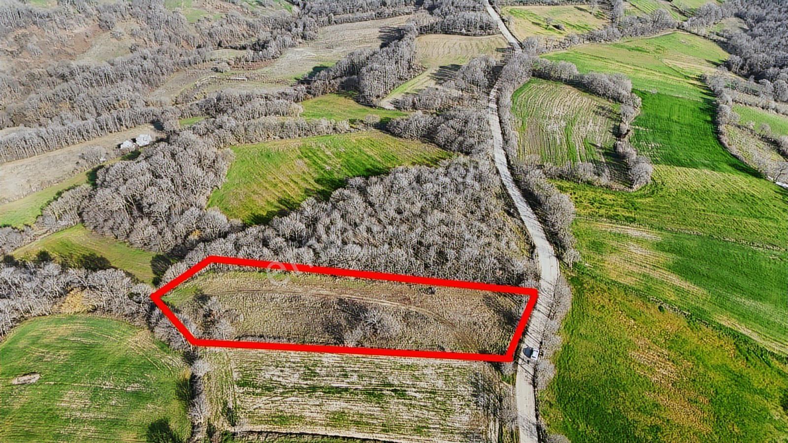 3.450 M² Satılık Tarla Hobi Bahçesi & Yatırımlık Gönene 10 Km - Görsel 22