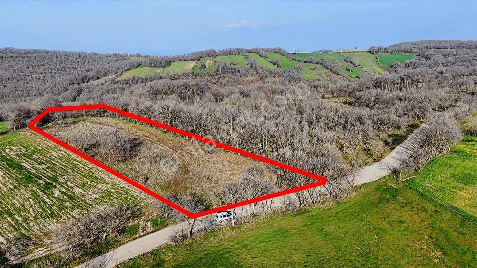 3.450 M² Satılık Tarla Hobi Bahçesi & Yatırımlık Gönene 10 Km