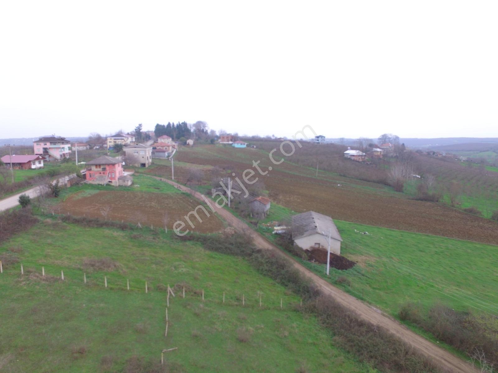 Sakarya Kaynarca Karaçalı'da Denize Yakın 664 M2 Satılık Arsa - Görsel 10