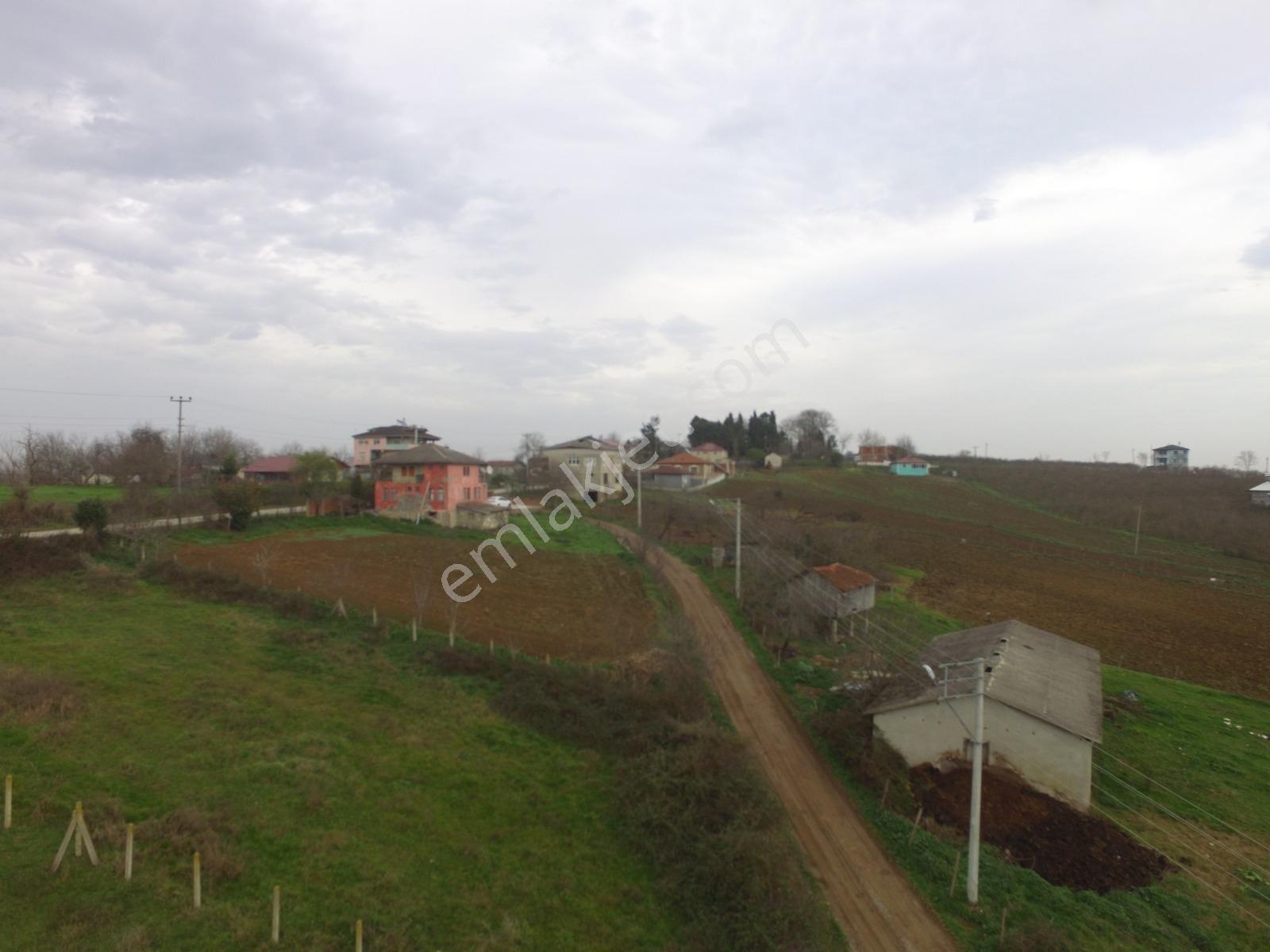 Sakarya Kaynarca Karaçalı'da Denize Yakın 664 M2 Satılık Arsa - Görsel 20