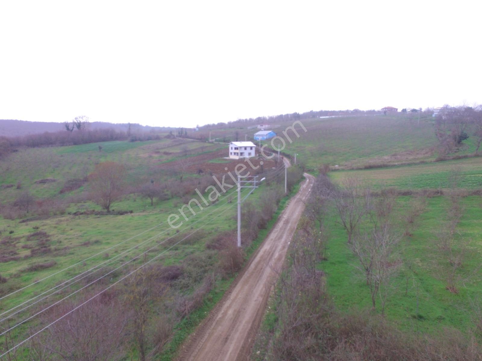 Sakarya Kaynarca Karaçalı'da Denize Yakın 664 M2 Satılık Arsa - Görsel 19