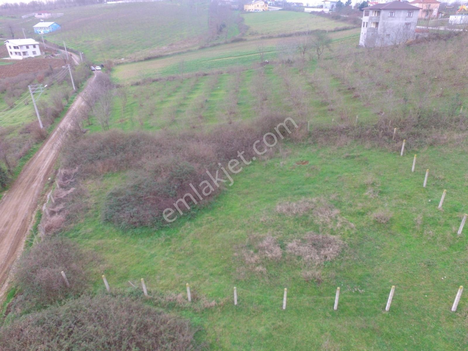 Sakarya Kaynarca Karaçalı'da Denize Yakın 664 M2 Satılık Arsa - Görsel 9