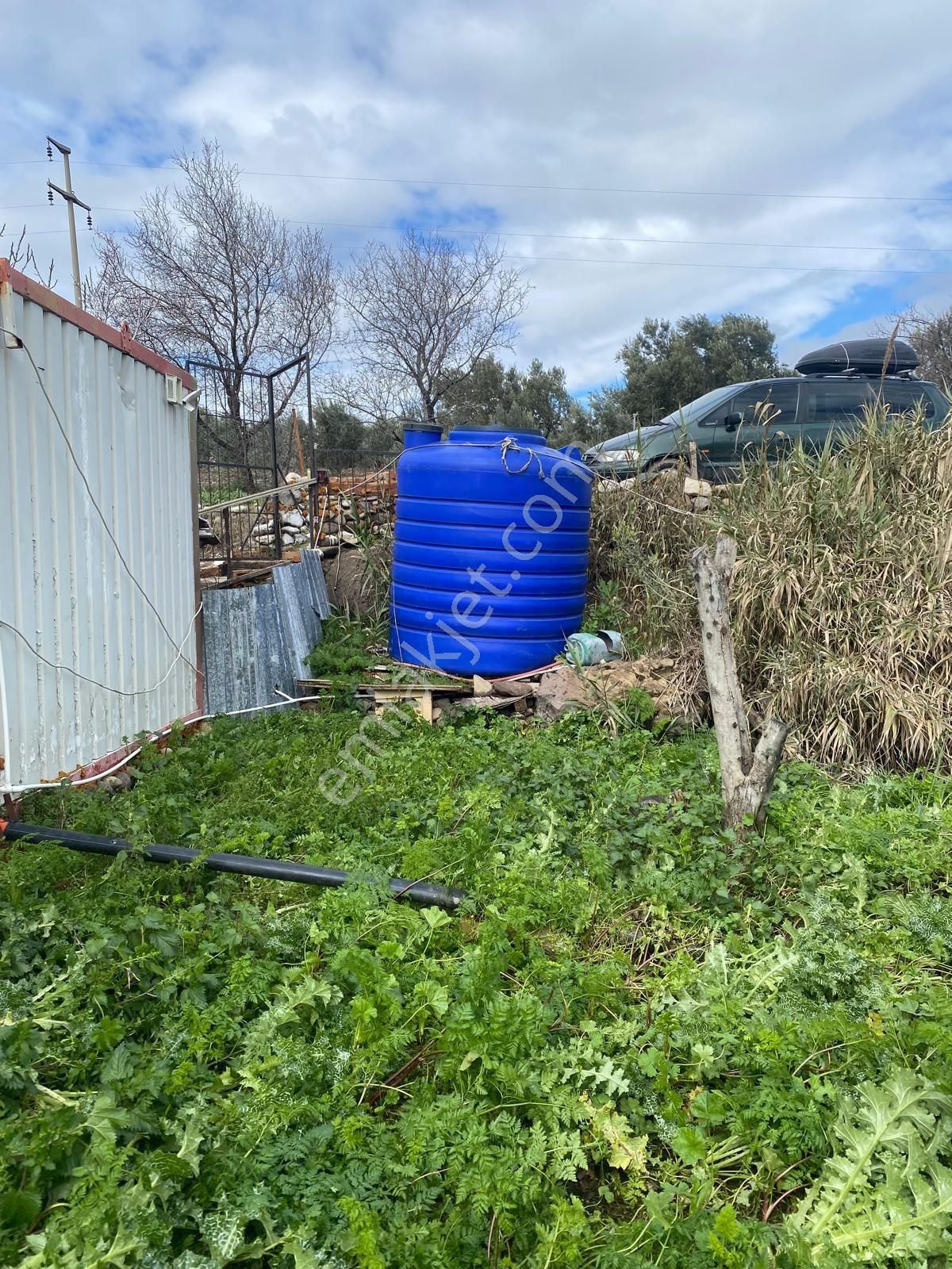 Bergama Sarıcalarda'da Yaşama Hazır Zeytinlik! 1658 M² Konteyner Evli,elektrik-su-traktör+atv - Görsel 6