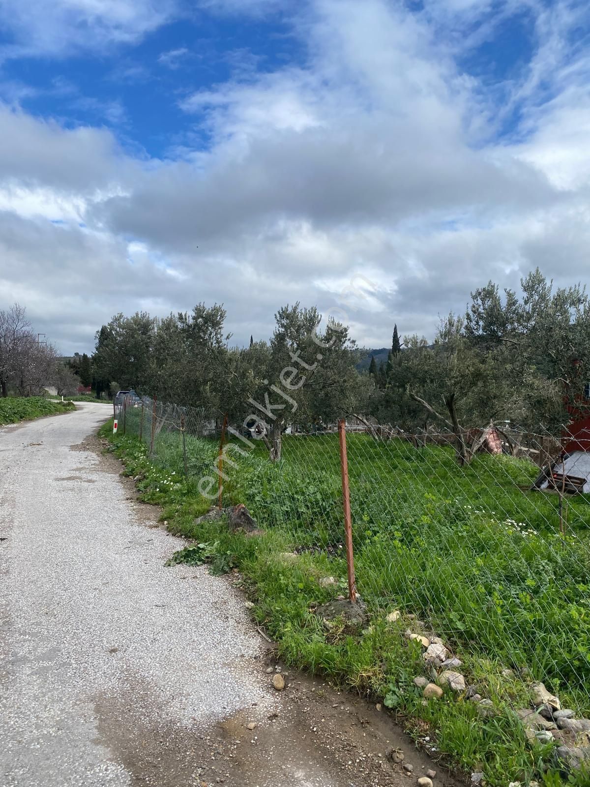 Bergama Sarıcalarda'da Yaşama Hazır Zeytinlik! 1658 M² Konteyner Evli,elektrik-su-traktör+atv - Görsel 21