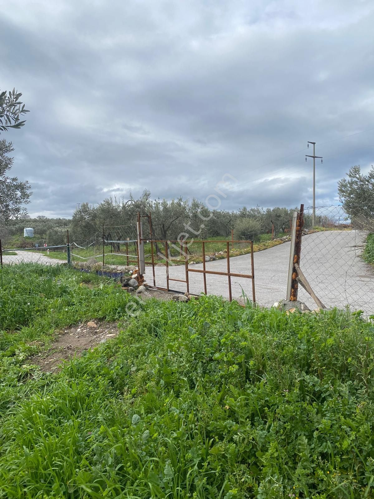 Bergama Sarıcalarda'da Yaşama Hazır Zeytinlik! 1658 M² Konteyner Evli,elektrik-su-traktör+atv - Görsel 12