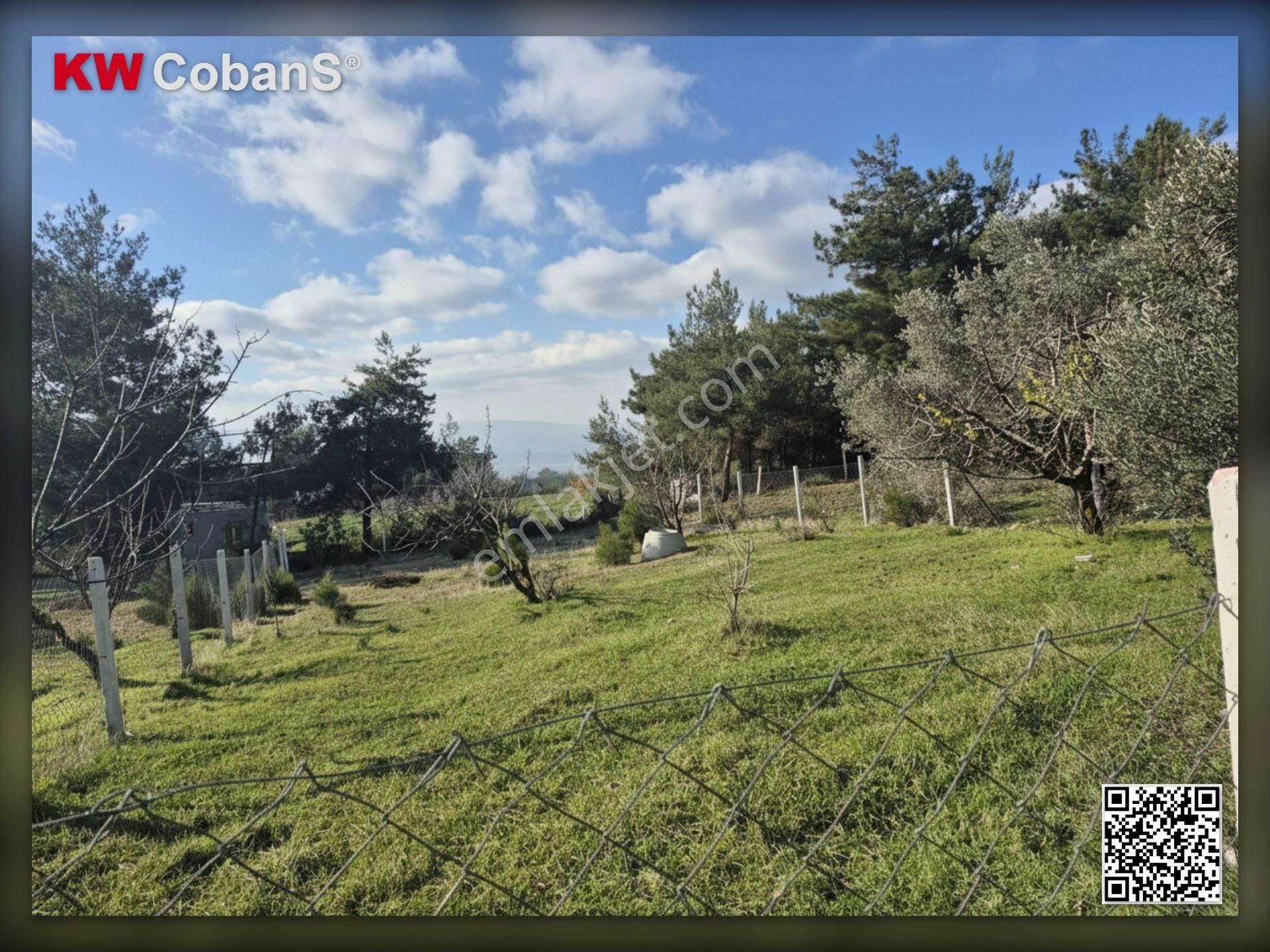 Kw Cobans'dan İzmir Yakaköy'de Satılık Bağ! - Görsel 9