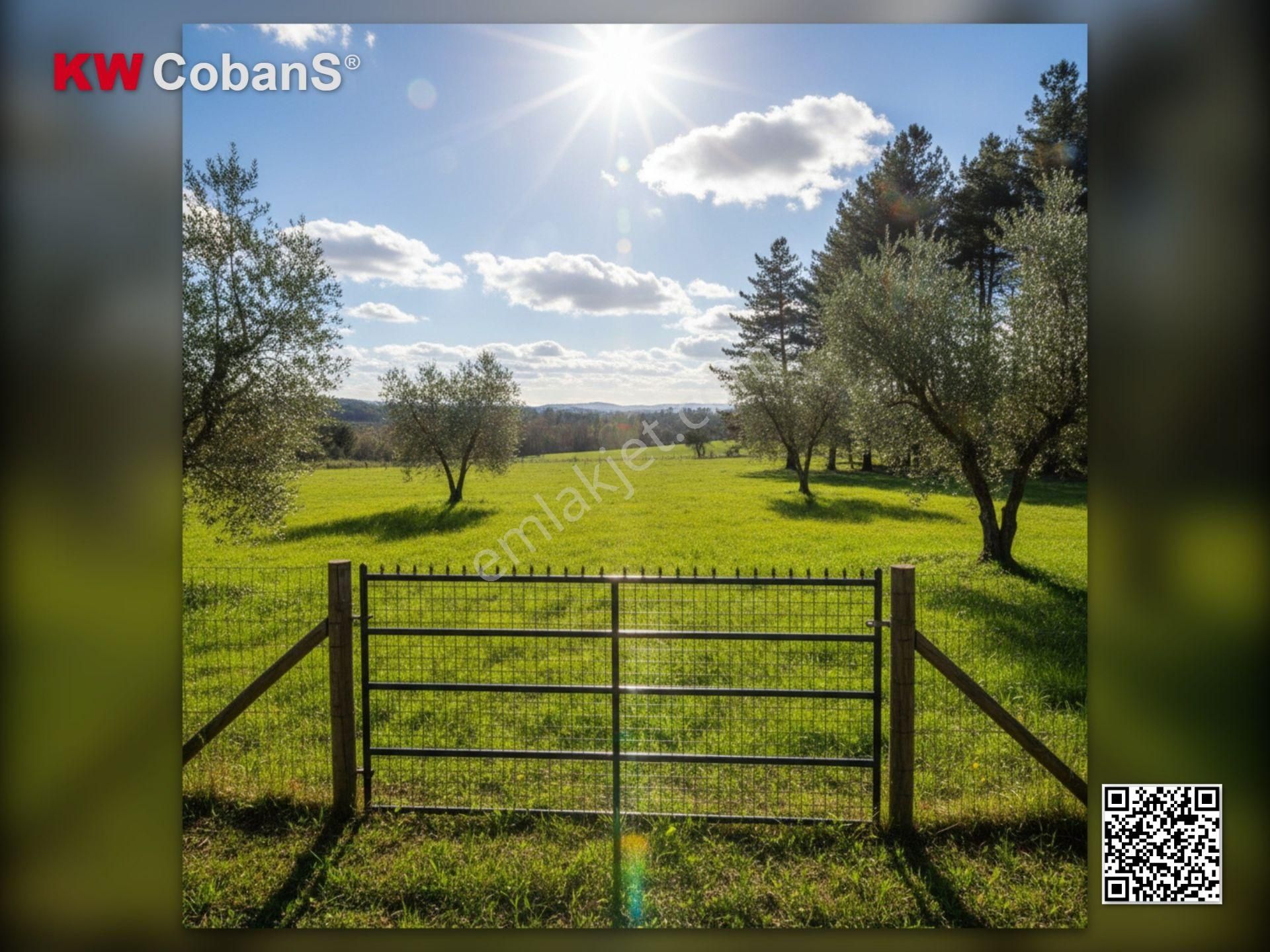 Kw Cobans'dan İzmir Yakaköy'de Satılık Bağ! - Görsel 8