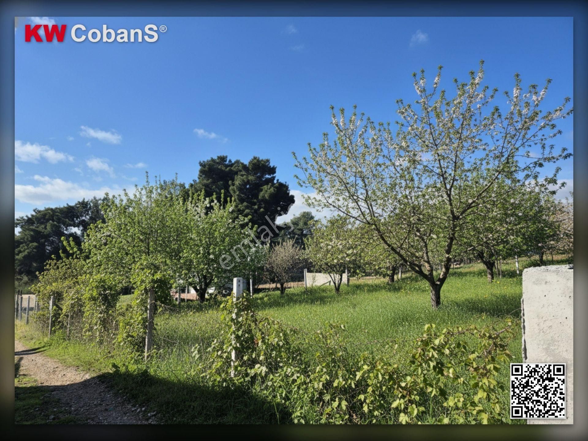 Kw Cobans'dan İzmir Yakaköy'de Satılık Bağ! - Görsel 6