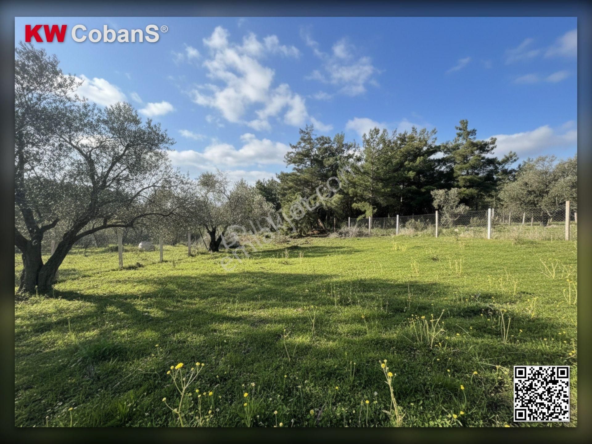 Kw Cobans'dan İzmir Yakaköy'de Satılık Bağ! - Görsel 7