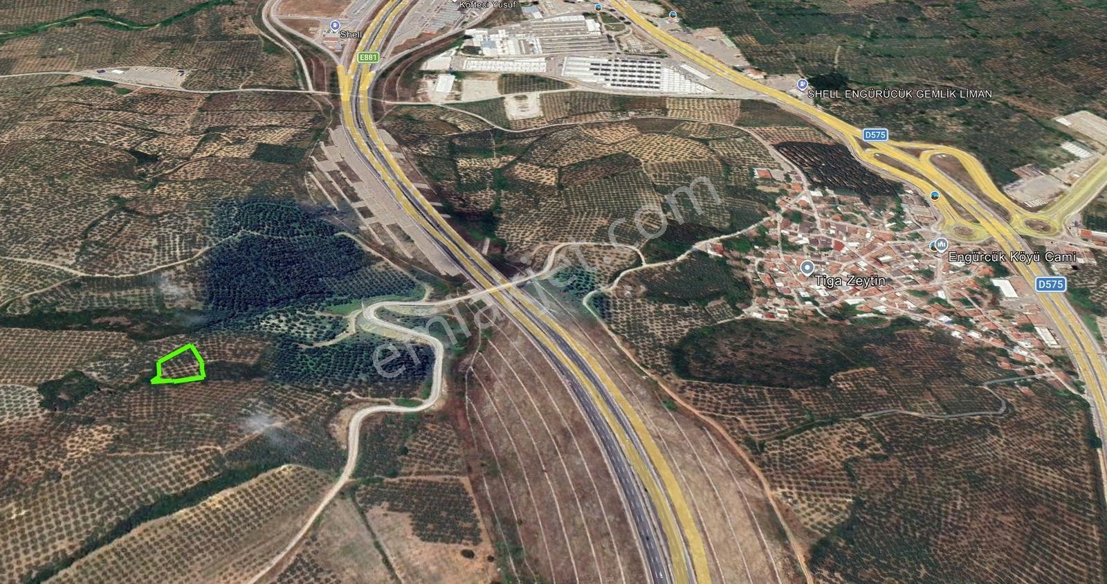 Gemlik Engürücükte Yatırım Fırsatı Konut İmarına Yakın Zeytinlik - Görsel 10