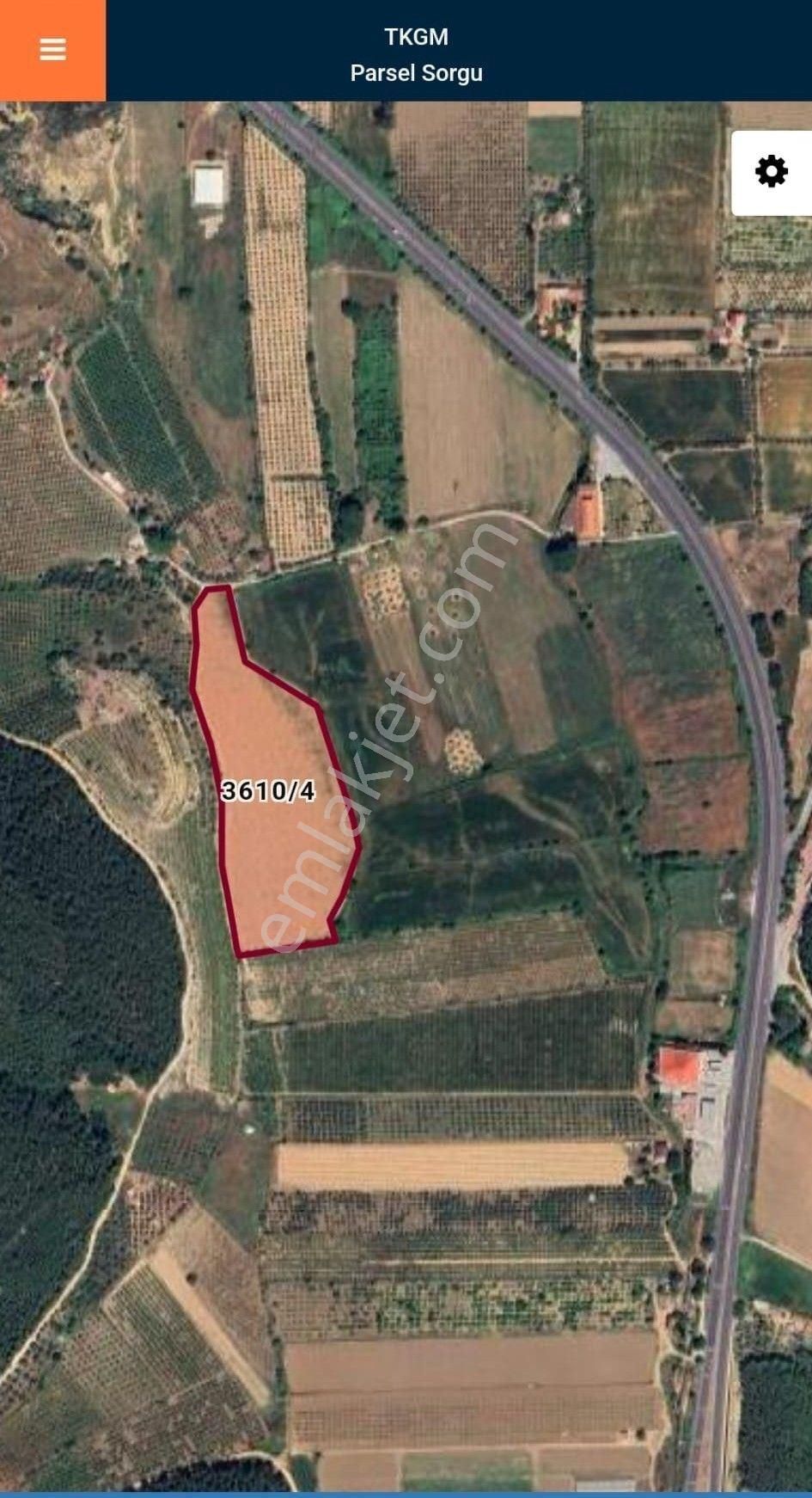 İzmir Selçuk Arvalya Mevkii Satılık Tarla